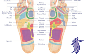 Price and info. Plantar footmap 